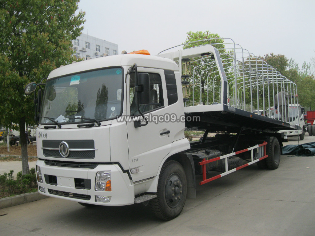 ���嶫�����һ�϶����ϳ�